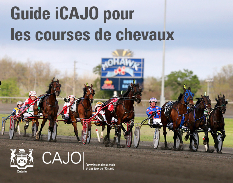 Guide iCAJO pour les courses chevaux